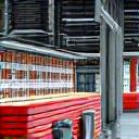 市場の様子、活気ある魚市場。